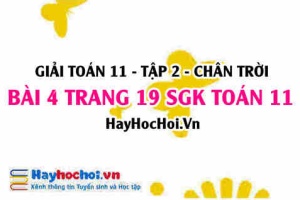 Bài 4 trang 19 Toán 11 tập 2 Chân trời sáng tạo